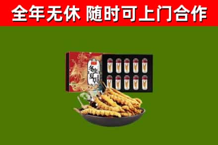 荔城回收冬虫夏草价格